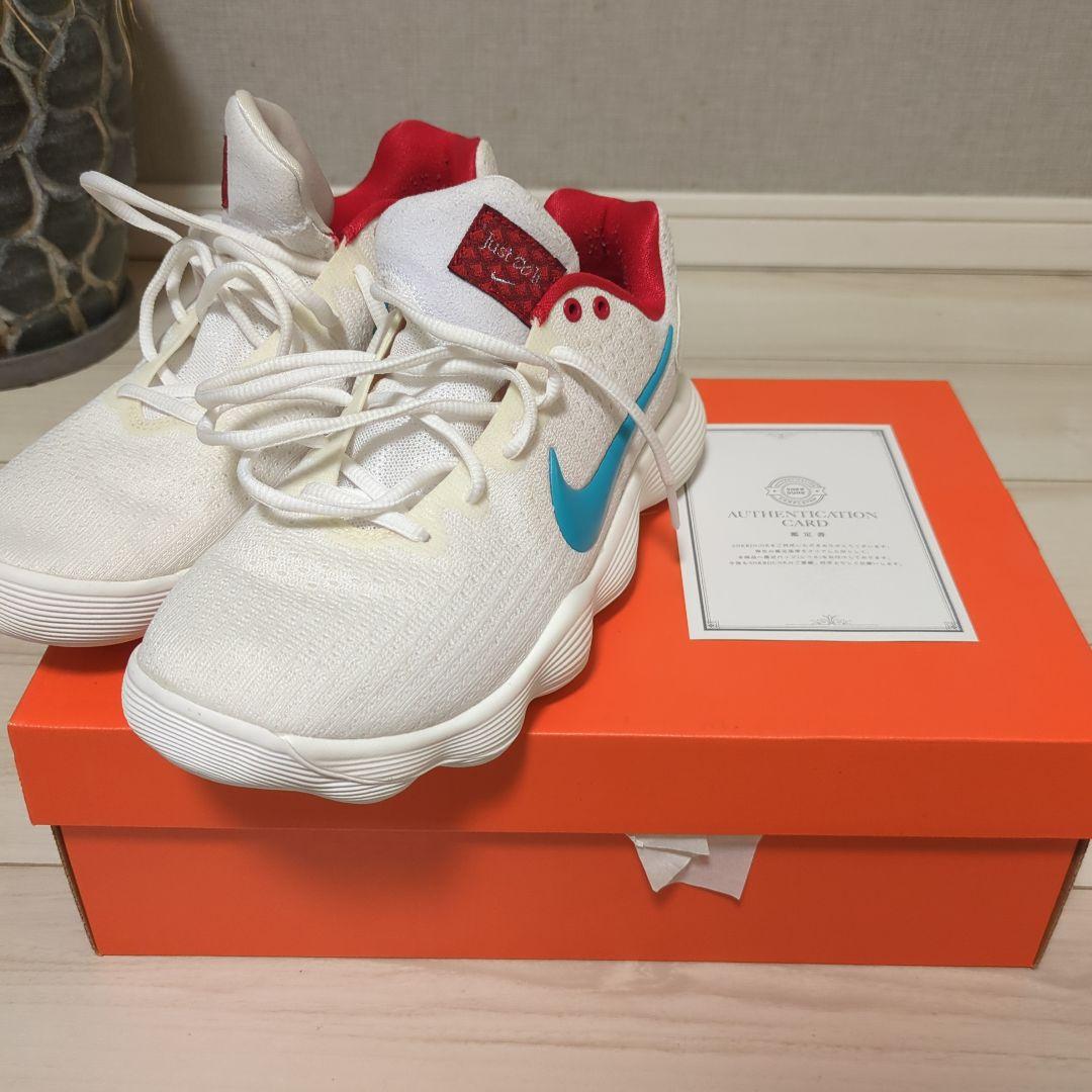 Nike ハイパーダンク 27cm