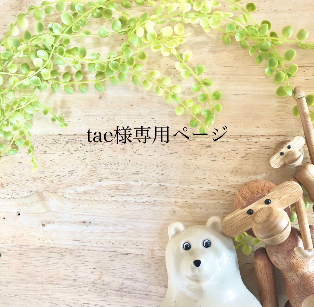 ⭐️tae様専用ページ⭐️ 春先取りの www.apeamica.it