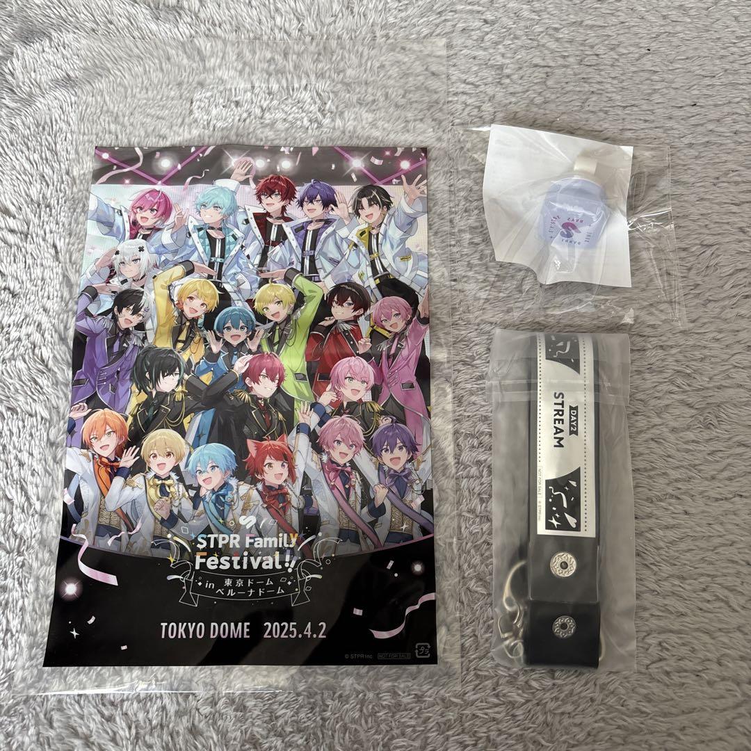 匿名配送】すとふぇす DAY2 通しチケット入場特典