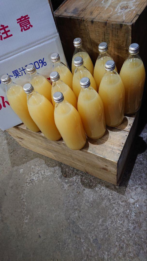 青森りんご　サンつがる100％　りんごジュース　1L１２本入り 　送料込