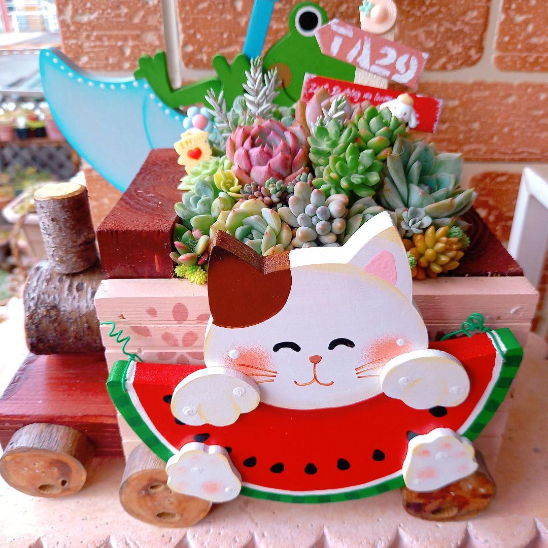 ❤️多肉植物❤️そのまま飾れる寄せ植え❤️スイカねこちゃん汽車❤️
