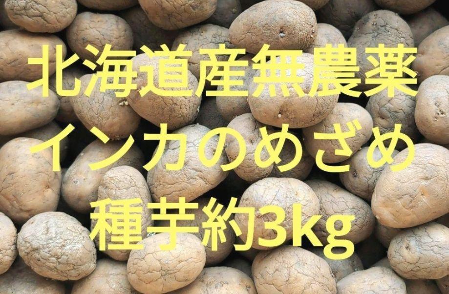 農薬・栽培期間中不使用北海道産無農薬インカのめざめ種芋約3kg