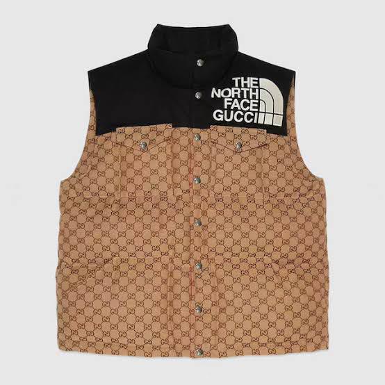 24時間限定値下　GUCCI THE NORTH FACE グッチ　ダウンベスト