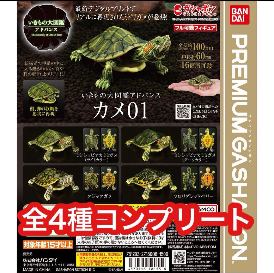 いきもの大図鑑アドバンス　カメ01 全4種コンプリート　ミシシッピアカミミガメ他