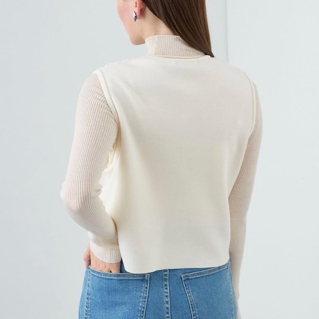 ANAYI モールコンビクルーネックジレ