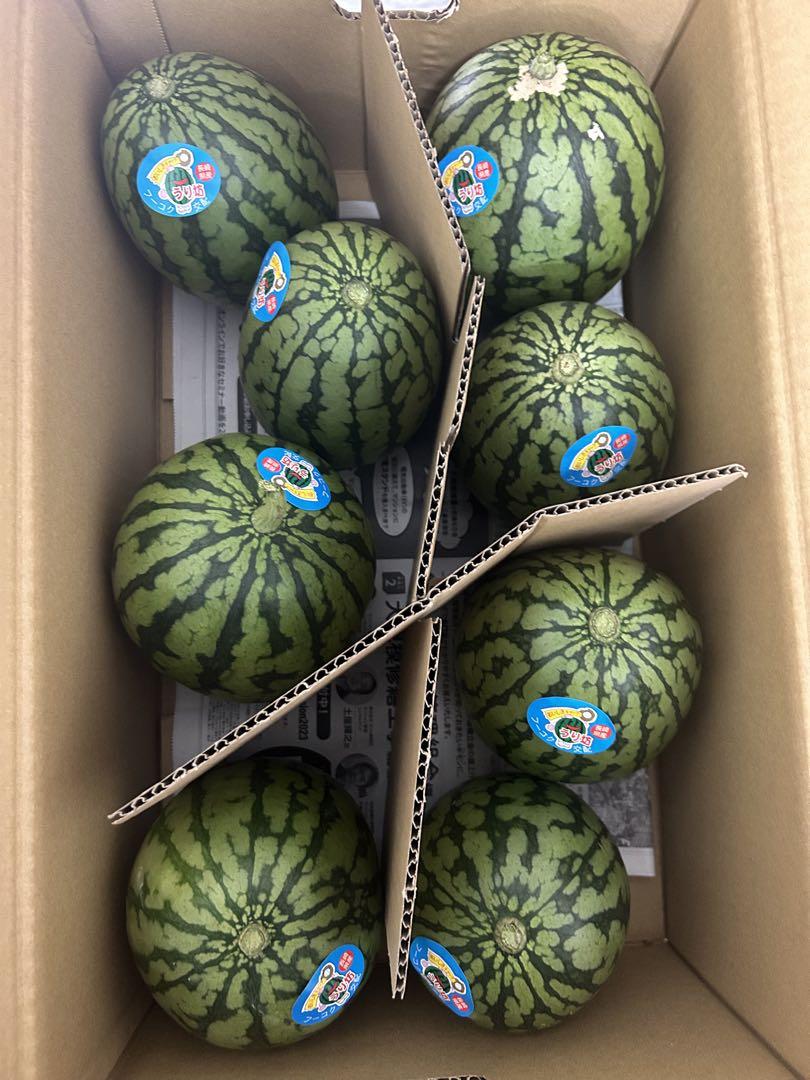 8月発送】北海道産 小玉スイカ 8kg なんぽろ小玉すいか 令和7
