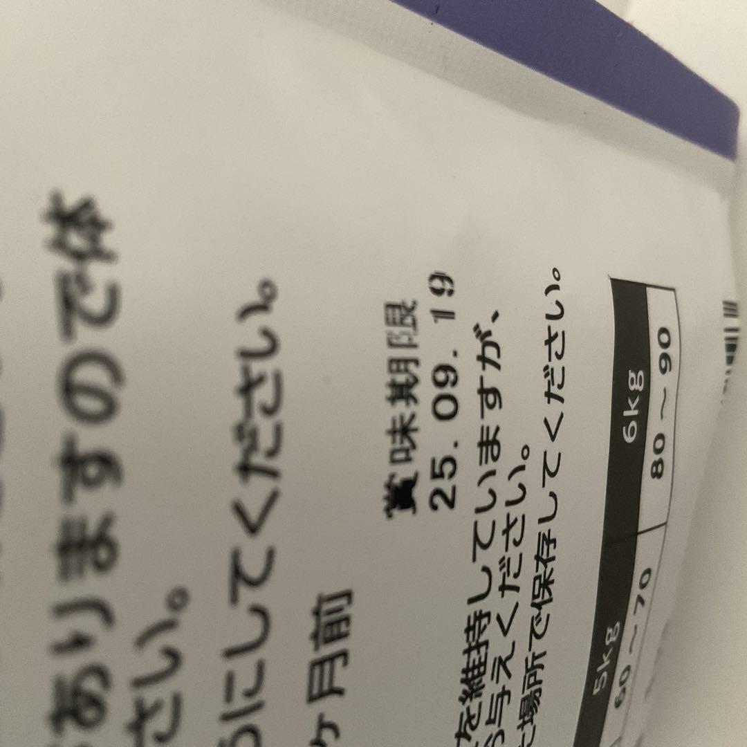 キャットフード