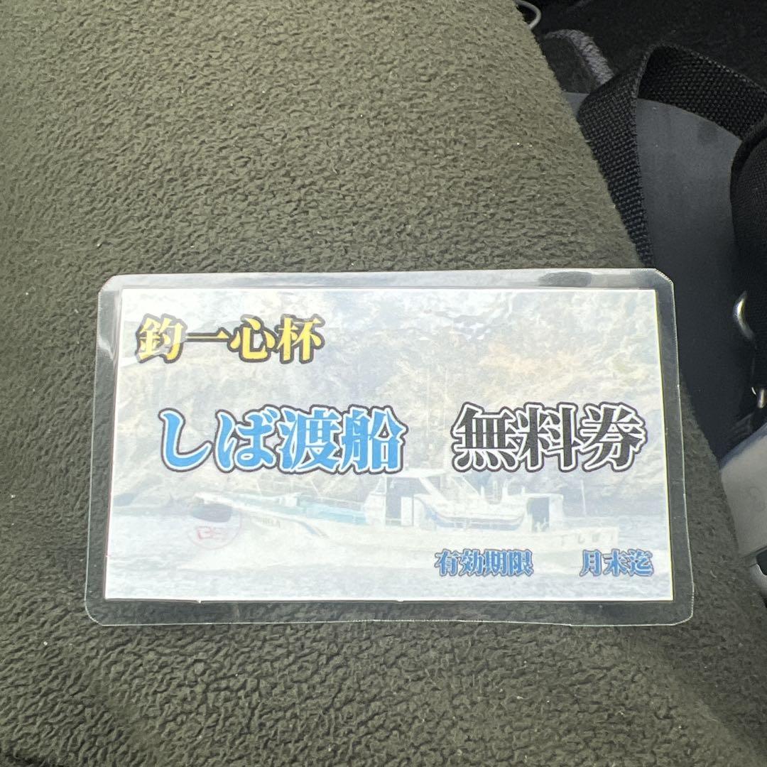 中泊 しば渡船 無料券