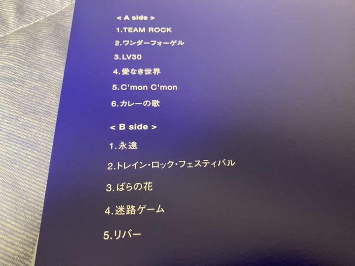 新入荷 流行 くるり TEAM ROCK レコード LP ayuda-test.dlstechnology.com.py 新入荷 流行 くるり TEAM ROCK レコード LP ayuda-test.dlstechnology.com.py