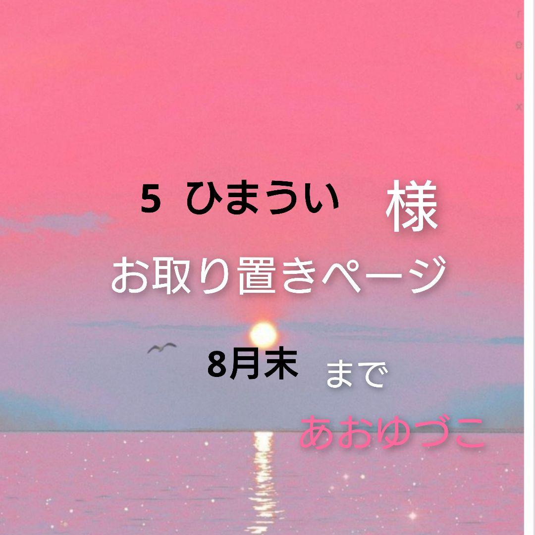 レジン　猫 　豚　ヘアゴム　ブローチ　ポニーフック　No.63