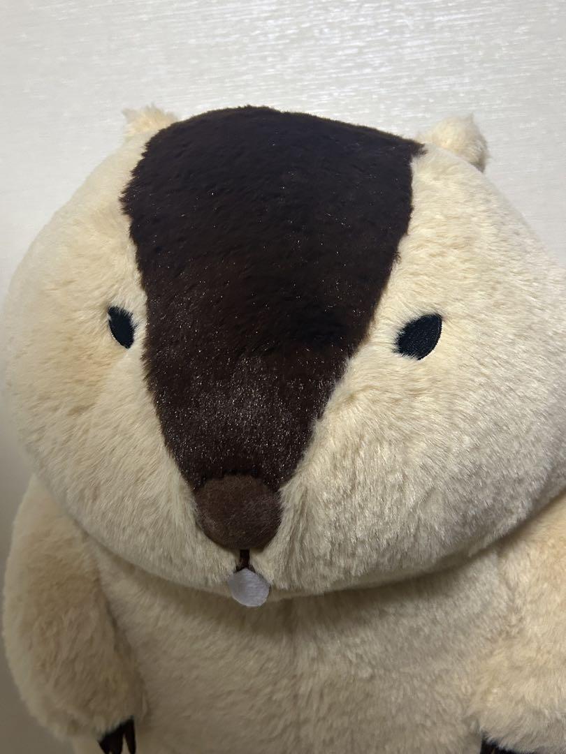 マーモットのもっとっと はまもと