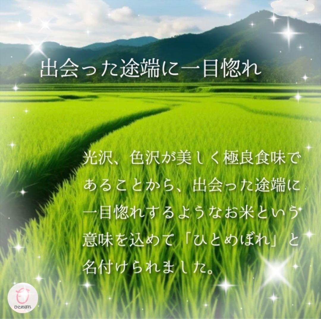 お米　精米【岩手県産無洗米ひとめぼれ10kg】（5kg×2) もちもち柔らか♪