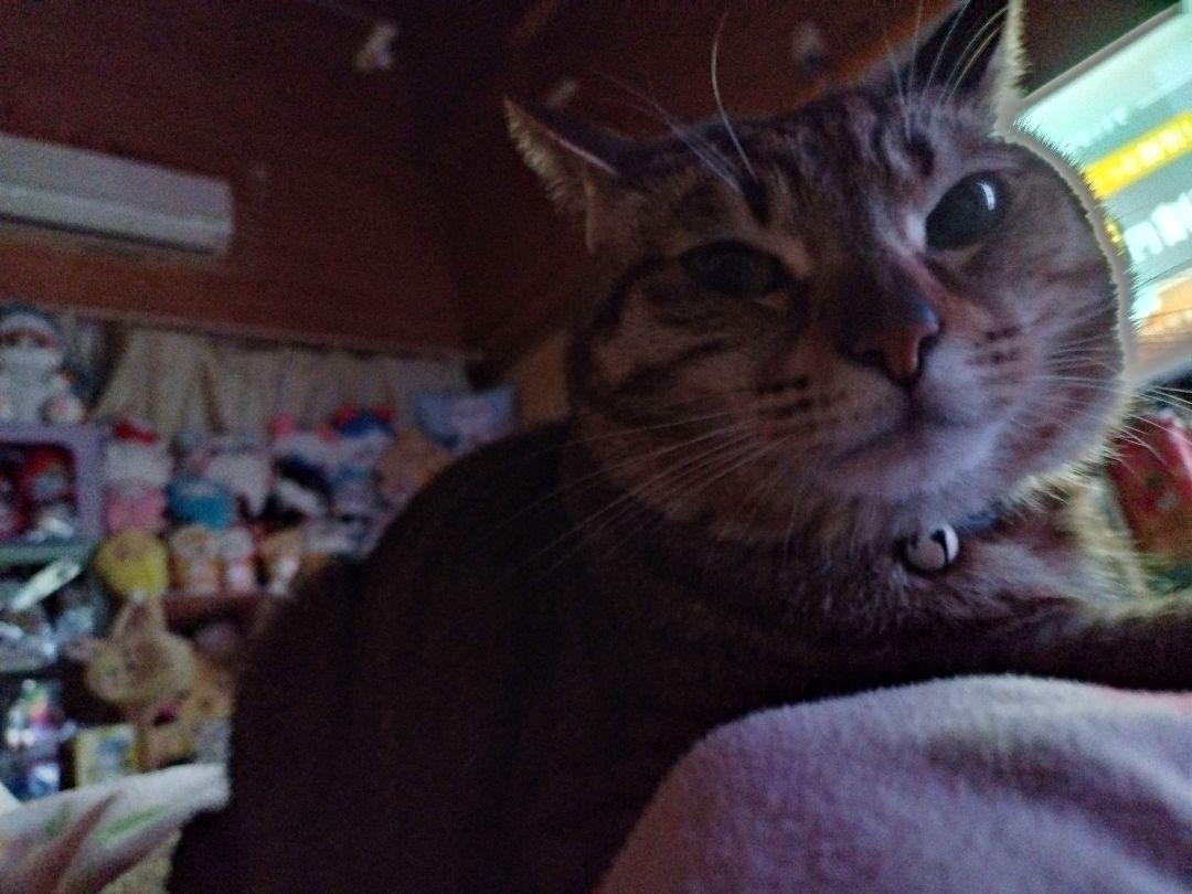 専用