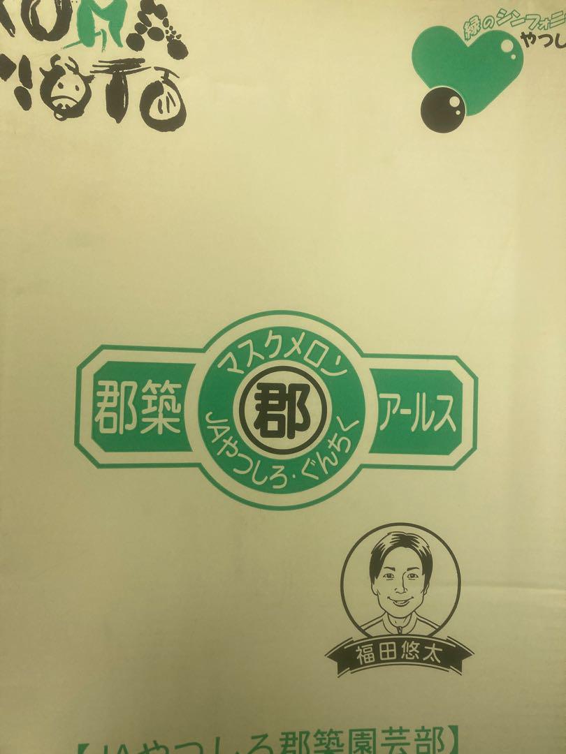 熊本産　マスクメロン　5玉入り