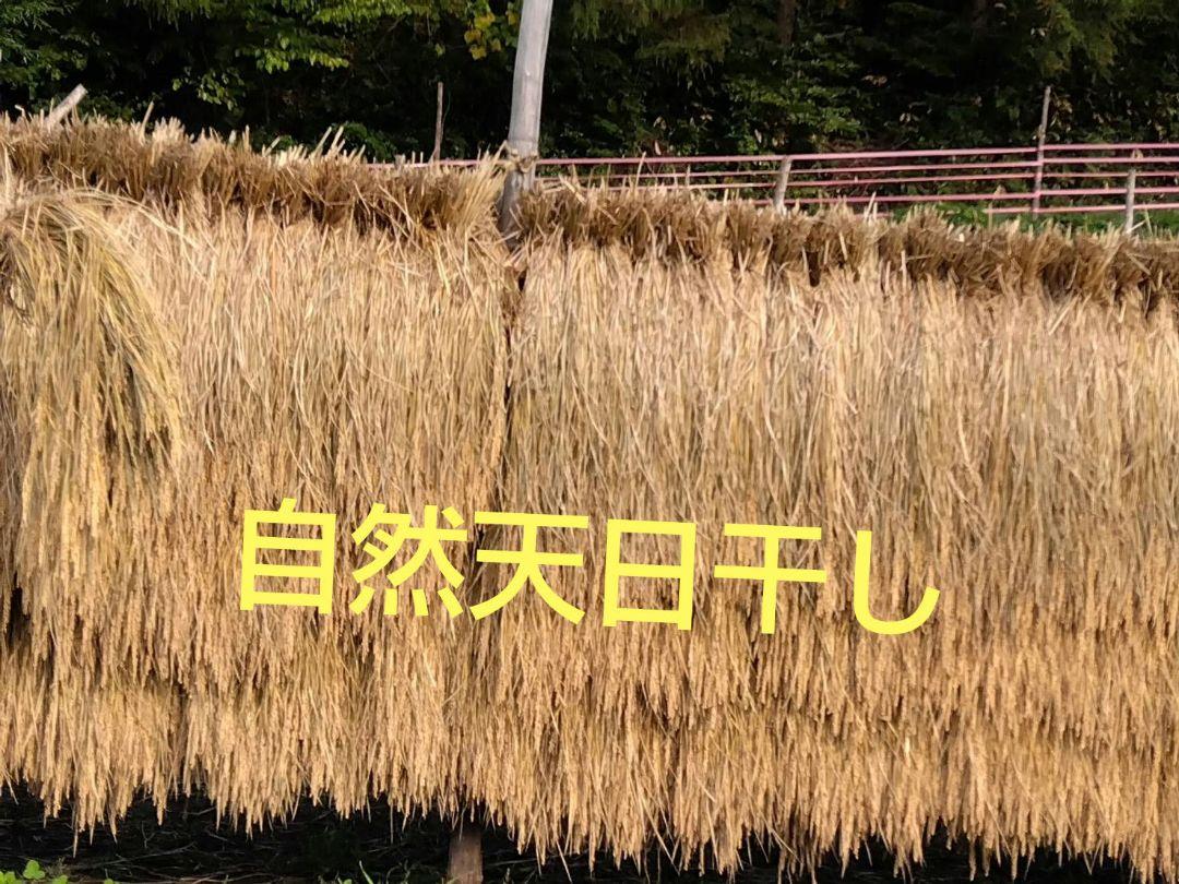 令和６年度岩手県産かけはし自然天日干し籾米10kg ☆岩手県令和6年度産はぜ掛け自然天日干し 籾米20kg