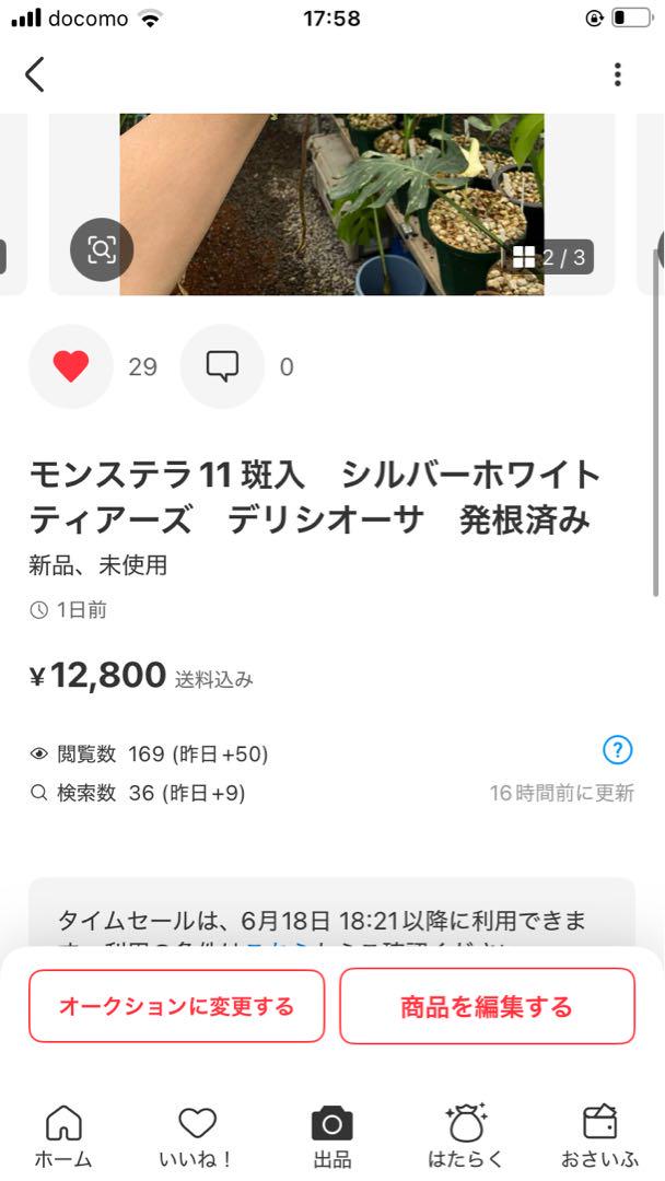 user_3900e97f 　10 11斑入　マスターピース　デリシオーサ