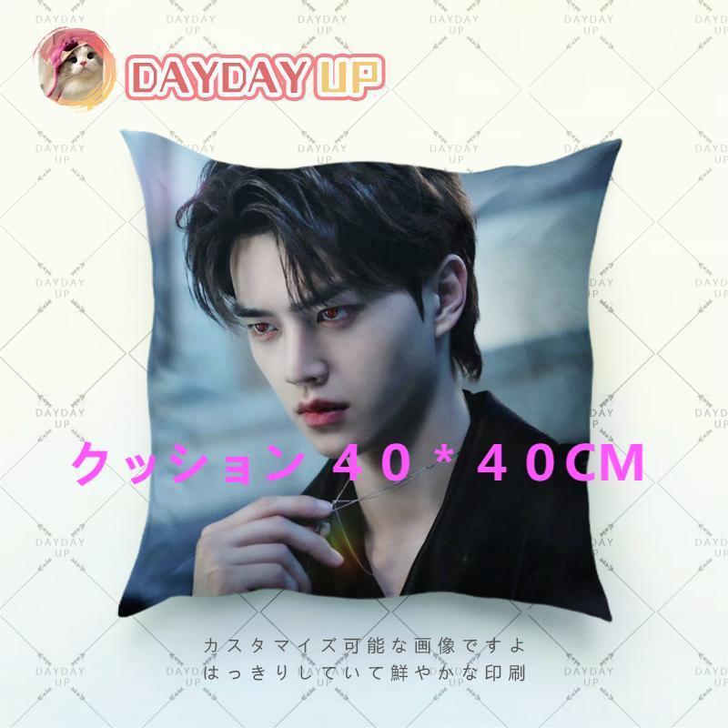 つくし様専用 クッション+ブランケット  ( 2個 )
