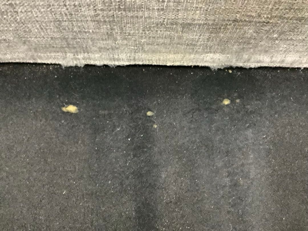 【直接引取限定】2人掛けソファ ヌボラ2S フランフラン グレー