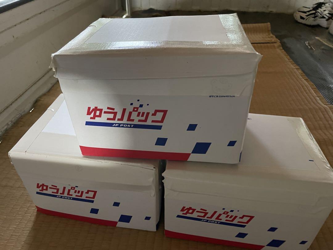 令和7年熊本県産旬の食材新鮮タケノコ良品物お任せコース、10キロです。