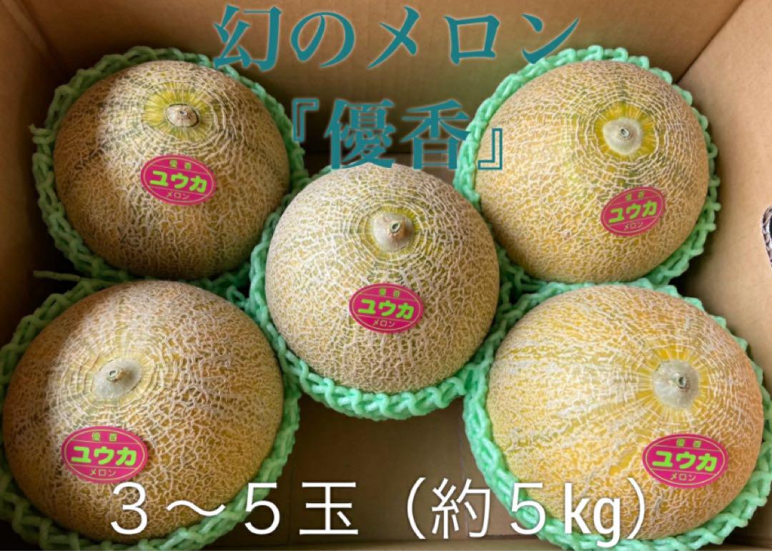 幻のメロン　優香メロン　ゆうか　メロン　ユウカメロン　茨城県　メロン　5kg