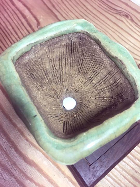 1374 盆栽　盆栽鉢　植木鉢　和鉢　手造り