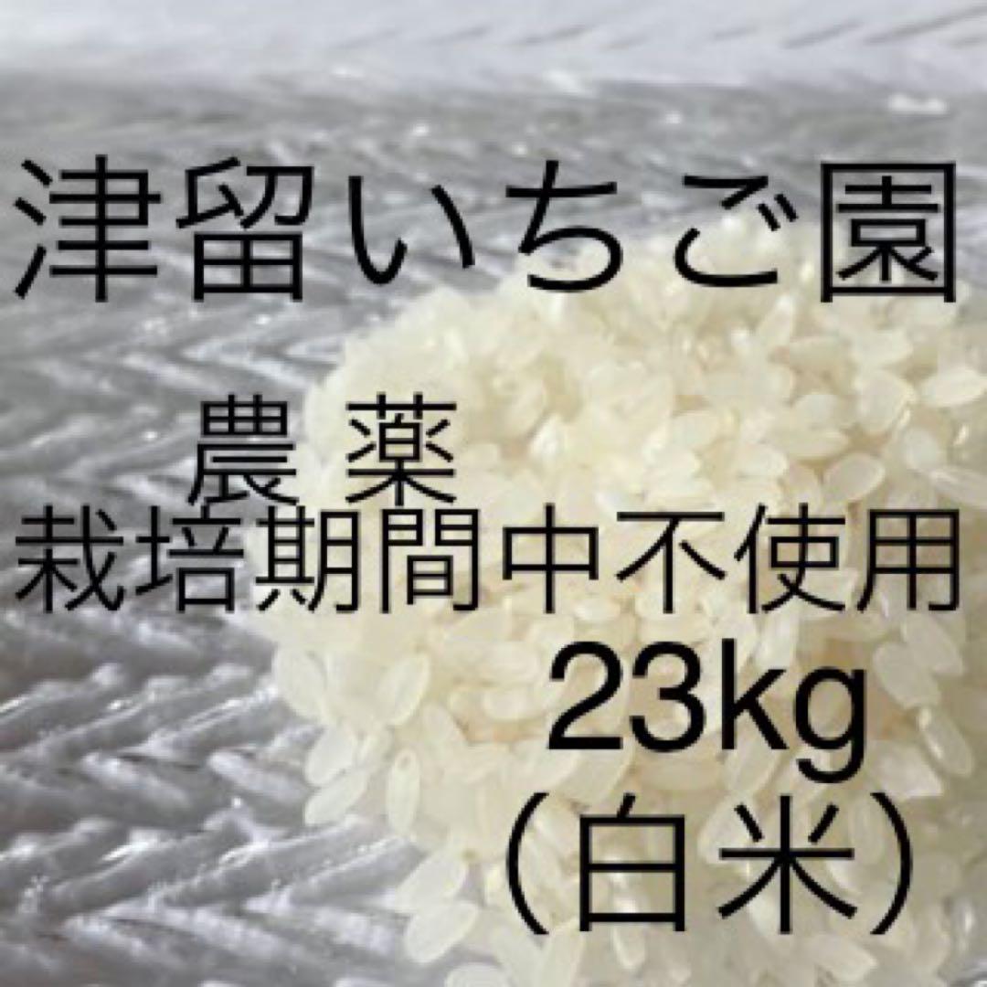 お米ヒノヒカリ農薬（栽培期間中不使用）令和5年産 白米 23kg 福岡県筑後市産