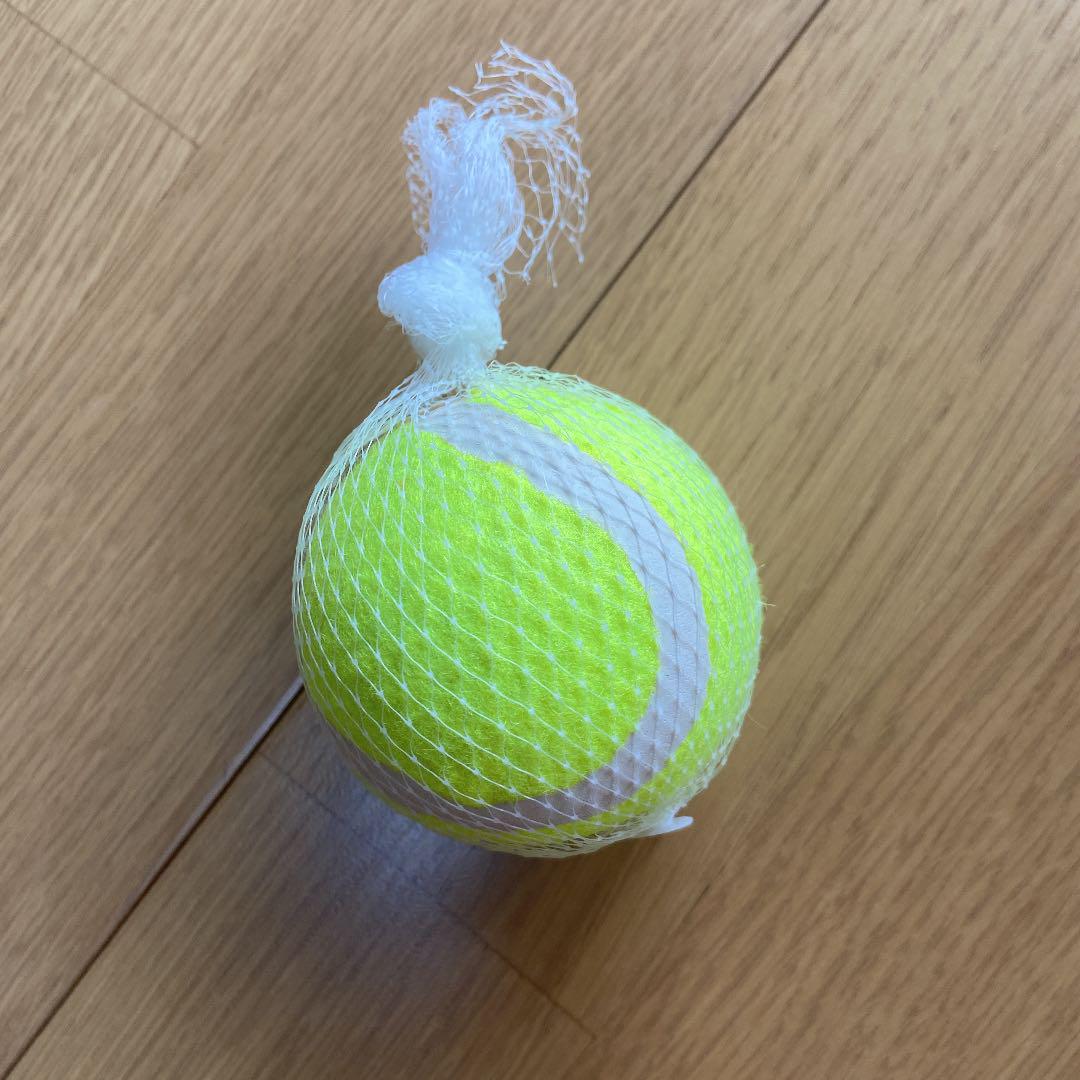 テニスボール