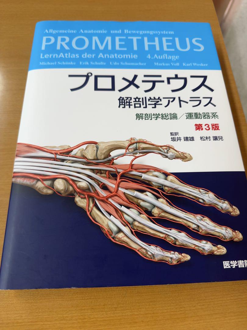 プロメテウス解剖学アトラス 解剖学総論/運動器系 - メルカリ