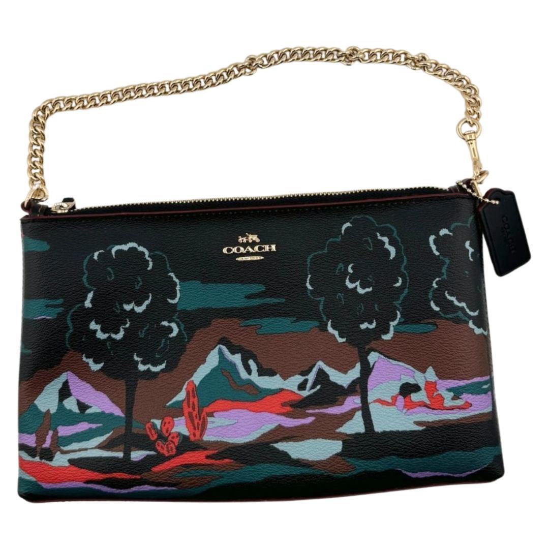 ✨希少美品✨COACH コーチ ポーチ ハンド クラッチ バッグ チェーン