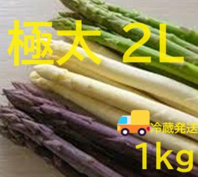 極太 北海道産パープル(紫)＆ホワイト＆グリーン3色セット2Lサイズ 5,130円