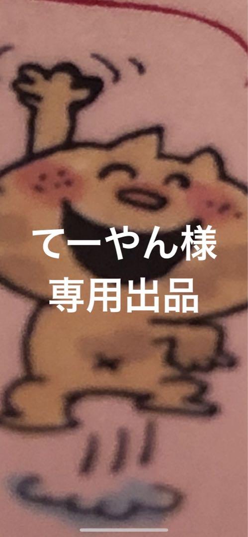 KBS 新年ドキュメンタリー 新 韓流の中心! 僕はチャン・グンソク