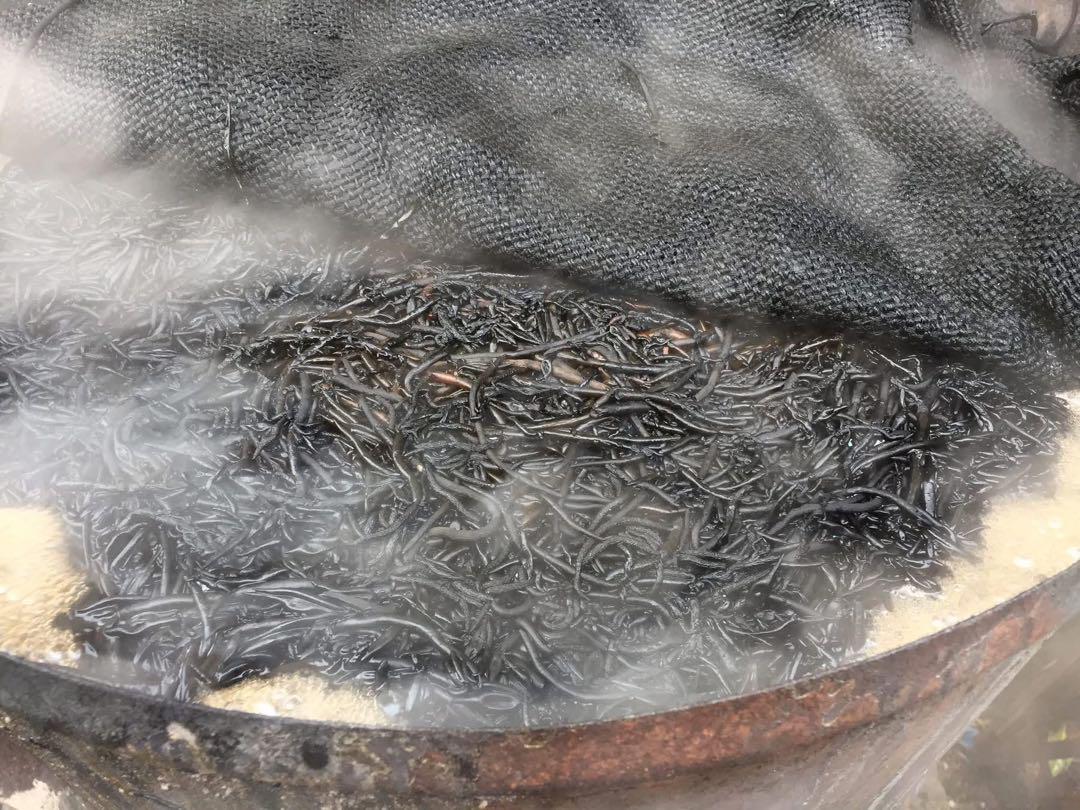 27【まぐさのひじき】80g×5袋 千葉県勝浦産 乾燥ひじき 送料込み