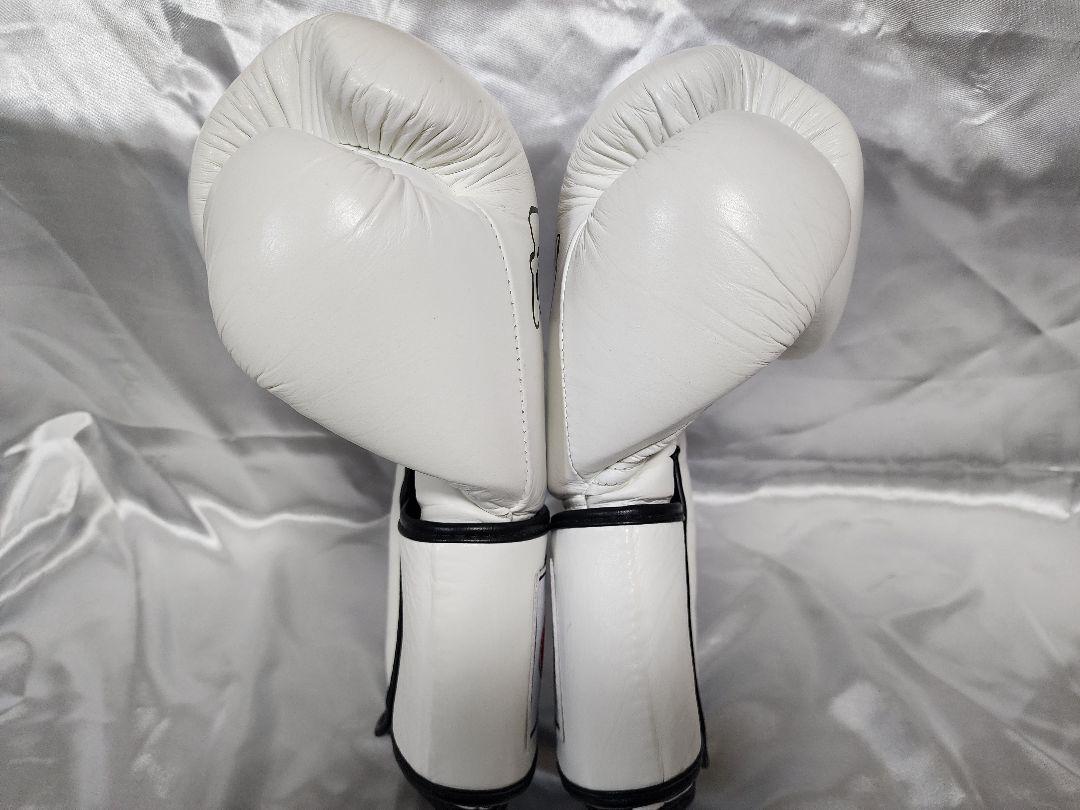 fairtex フェアテックス BGV5 スパーリンググローブ 14oz 美品
