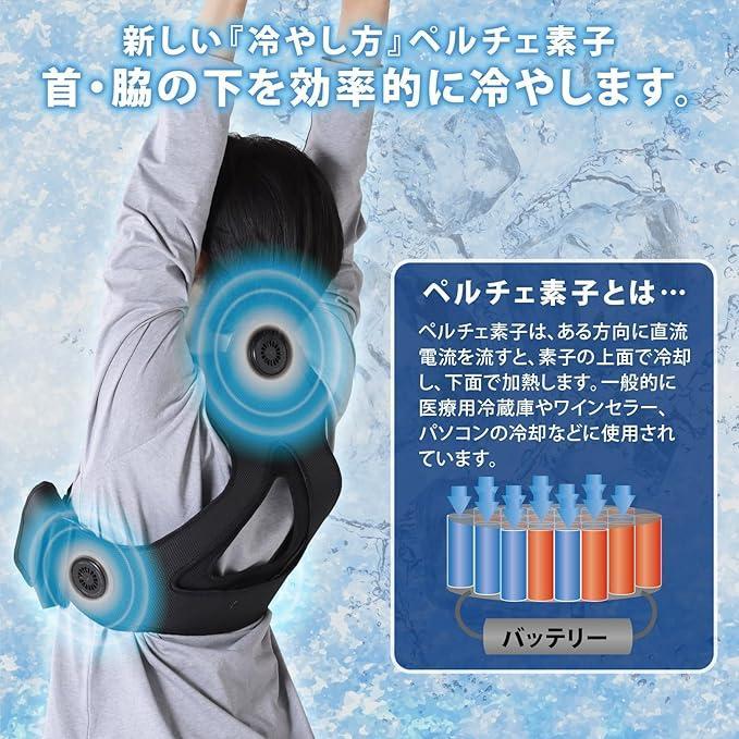 19800円!!!! ペルチェベスト 3Dメッシュ 大容量10000mAh