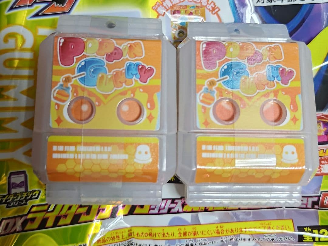 DXライダーゴチゾウシリーズ 新種発見！ver.02 全12種セット