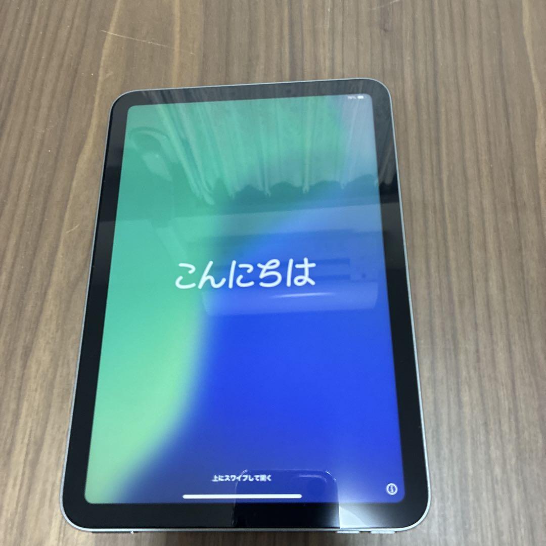 Apple iPad mini シルバー