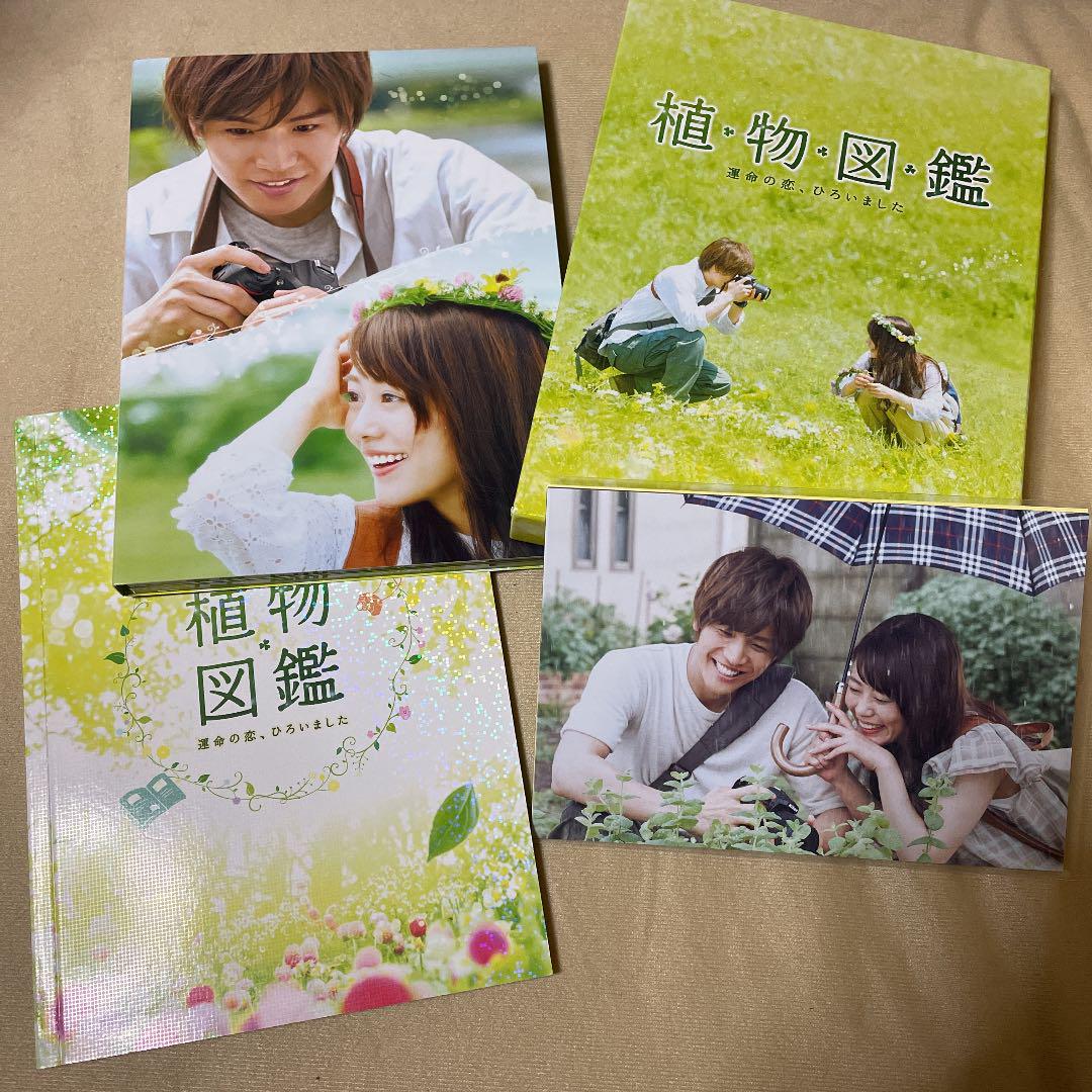 植物図鑑運命の恋ひろいました 高畑充希 岩田剛典 岩ちゃん 3代目 Exile メルカリ 植物図鑑運命の恋ひろいました 高畑充希 岩田剛典 岩ちゃん 3代目 Exile メルカリ