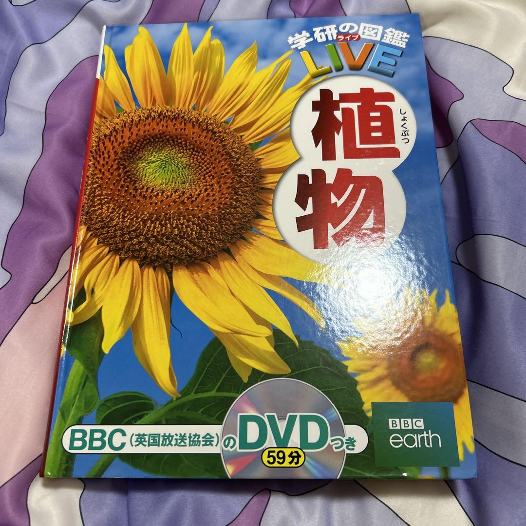 植物雑貨クリエイター養成講座テキスト、DVDセット