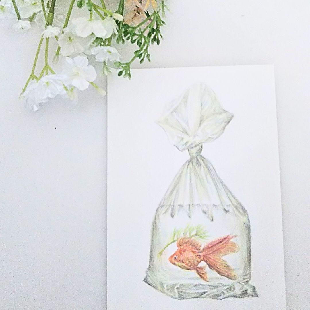 絵画 / 画 / 鯉魚 / 鯉の絵 / 魚 / の手描き / 原画 / 油絵
