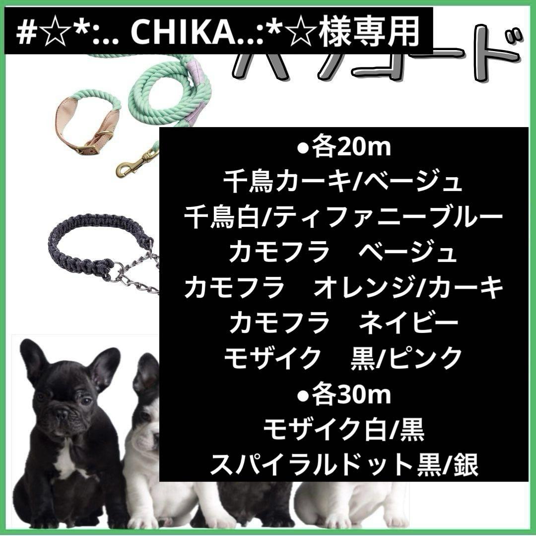 パラコード　#☆*:.. CHIKA..:*☆2