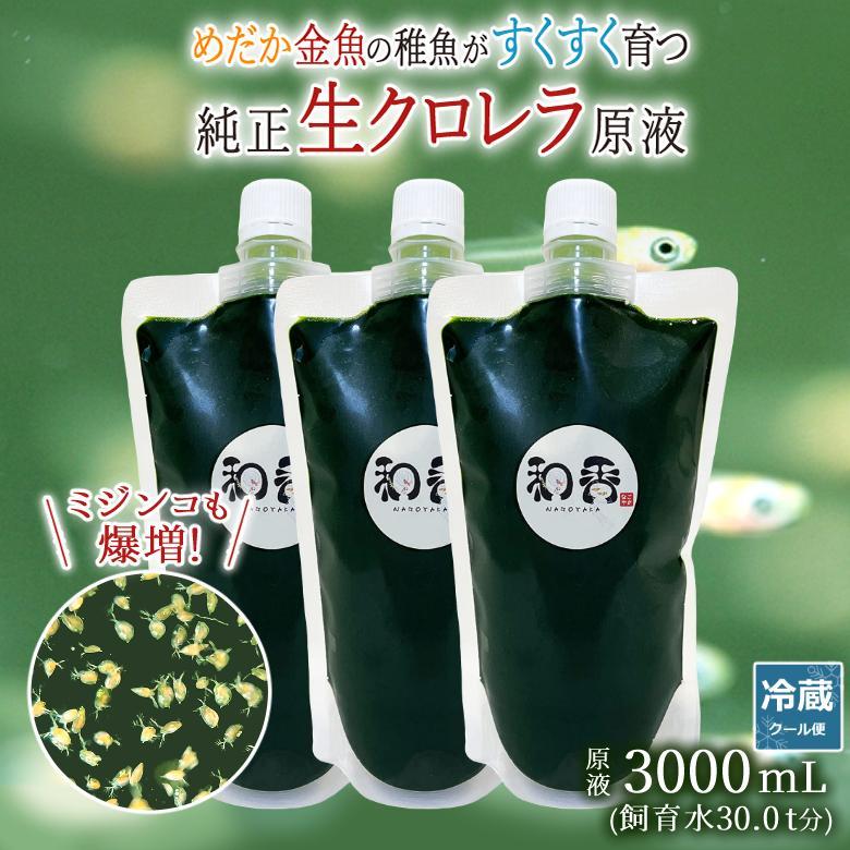 和香特選 生 クロレラ 原液3L めだか 金魚 稚魚ミジンコPSBX