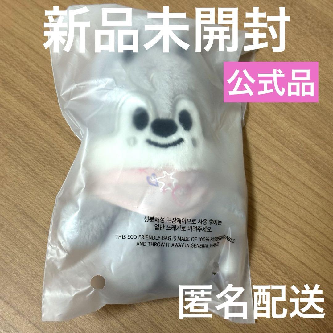 StrayKids ペンミ ぬい ウルフチャン バンチャン 10cm マイクロ ウルフチャン 10cmぬい skzoo ペンミ バンチャン スキズ - メルカリ