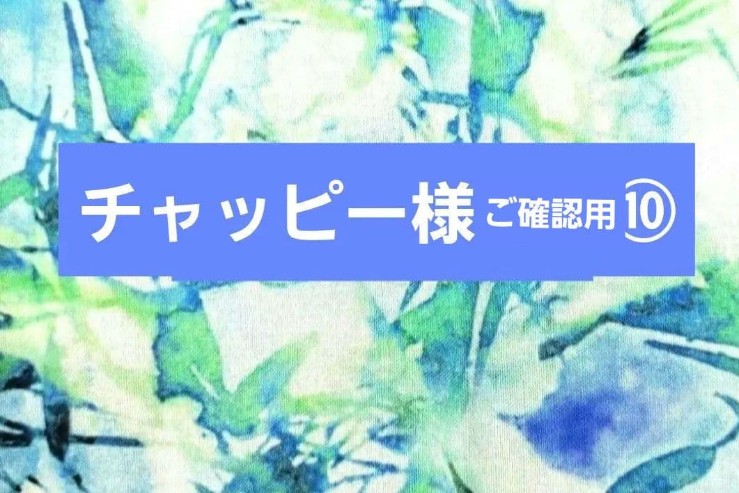 チャッピー様専用⑩
