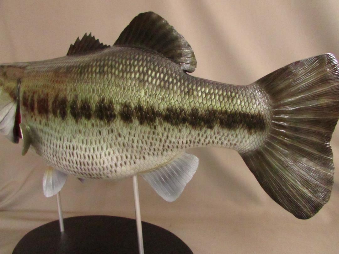 ハンドメイド 62cmブラックバス 魚模型 フィギュア レプリカ