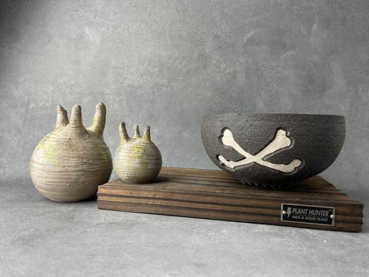 49%割引新着商品 人気入荷!数量限定 PLANT HUNTER オリジナル 陶器 植木鉢 陶芸 美術品-WWW.FIDAKENYA.ORG 49%割引新着商品 人気入荷!数量限定 PLANT HUNTER オリジナル 陶器 植木鉢 陶芸 美術品-WWW.FIDAKENYA.ORG