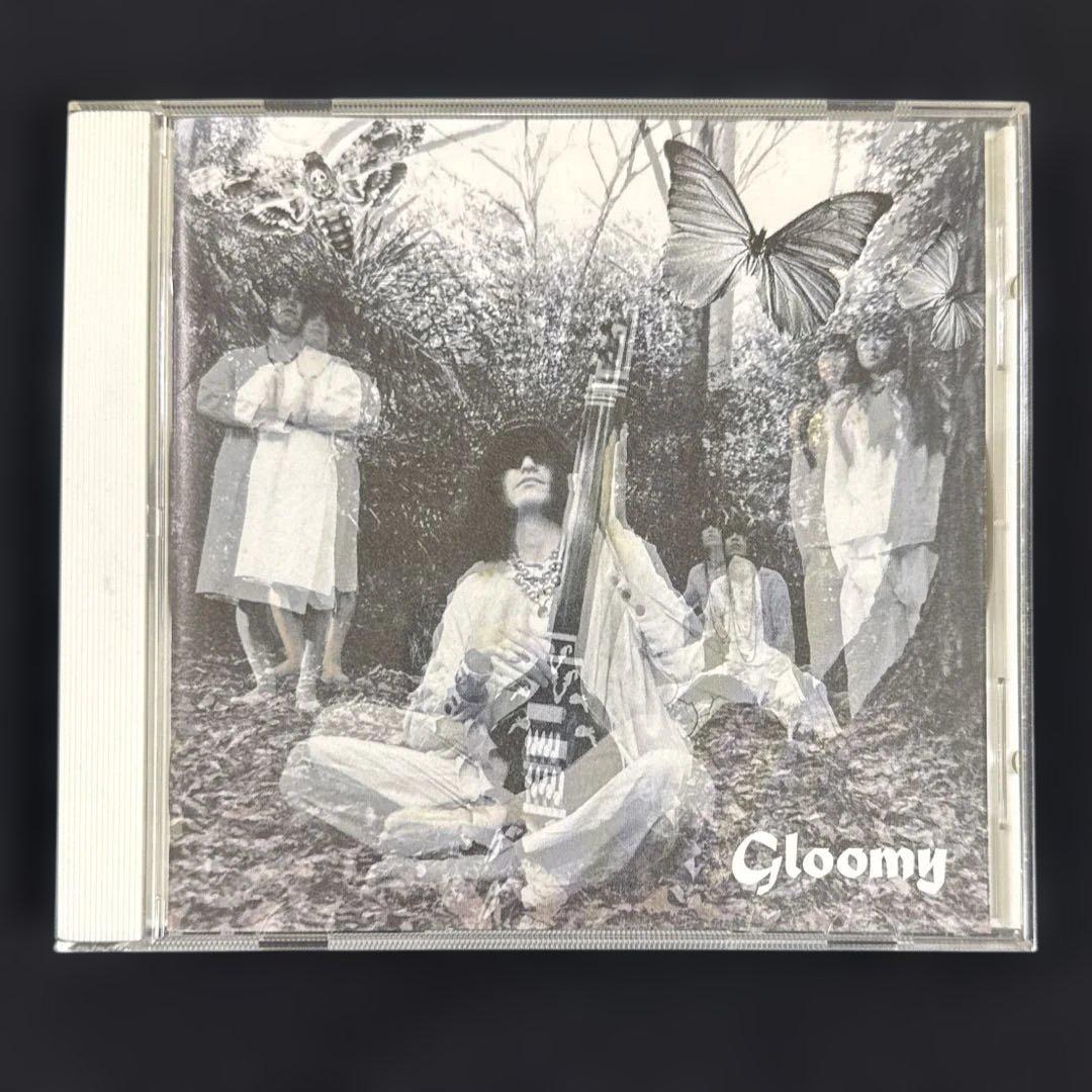 2枚セット 毛皮のマリーズ 『gloomy』 『THE END』レンタル落ち