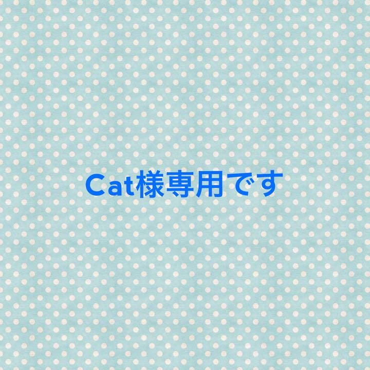 ★Catです