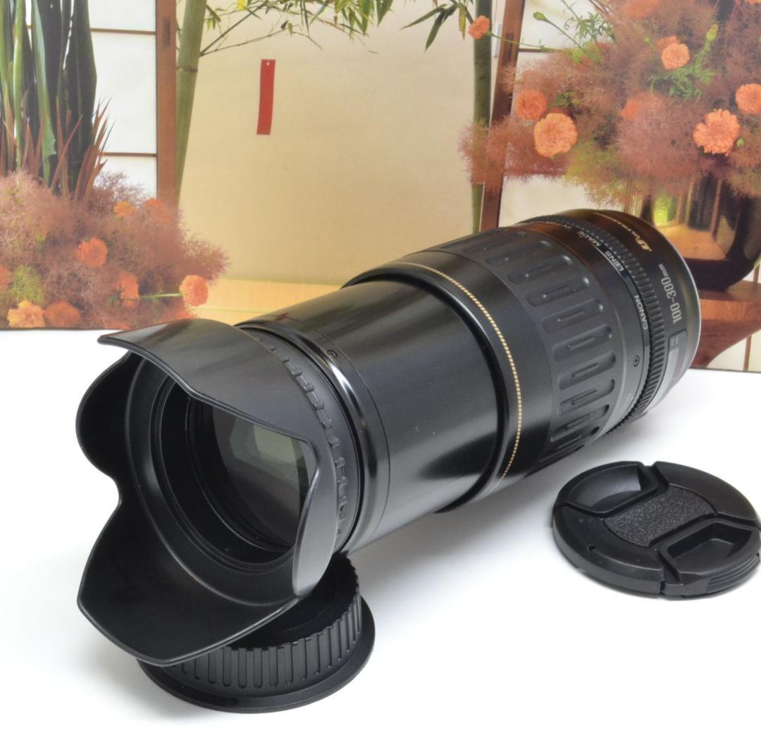 キヤノン望遠レンズ Canon EF100- 300mm望遠はここから! | ebs-santana.pt