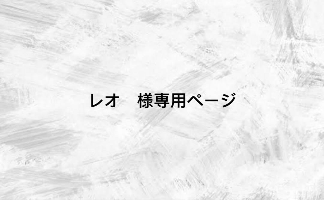 レオ　様専用ページ