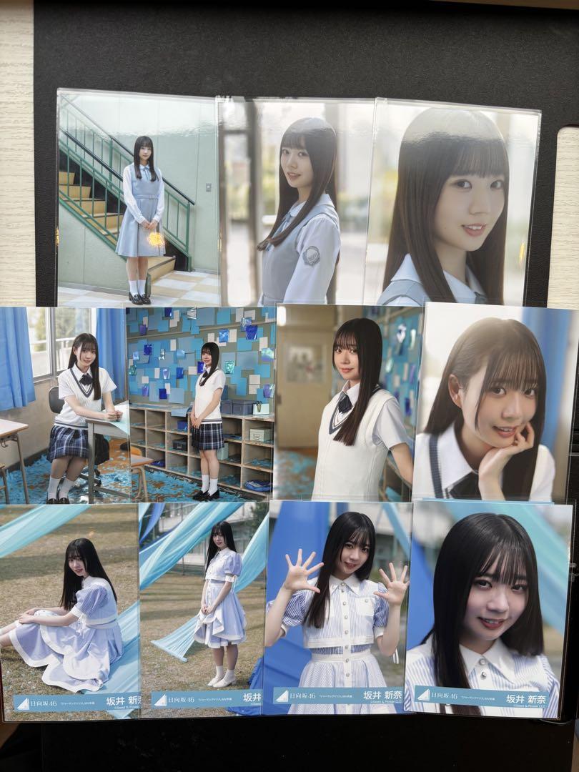 日向坂46 生写真 ジャーマンアイリスMV衣装 11コンプ 坂井新奈